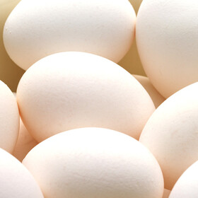 サイズいろいろ卵（10コ入） 95円(税抜)