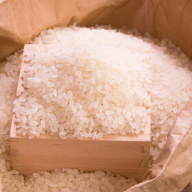 お米各種 5%引