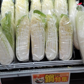 玉白菜【1/4切】 100円(税抜)