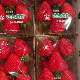 イチゴ 380円(税込)