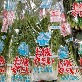 有機水菜 100円(税抜)