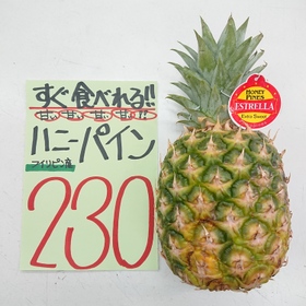 ハニーパイン 230円(税込)