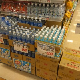 ポン塩と夏みかん 88円(税抜)