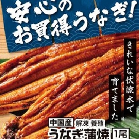 うなぎ蒲焼（解凍・養殖） 1,491円(税込)