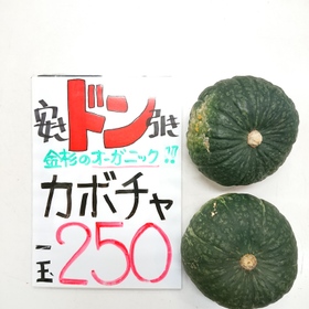 オーガニックかぼちゃ 250円(税込)