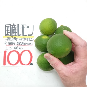 国産レモン 100円(税込)