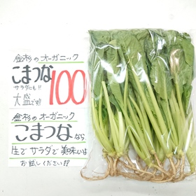 小松菜(オーガニック) 100円(税込)