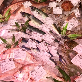 名古屋市場直送のお魚各種 価格なし