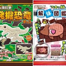 キャラパキ発掘恐竜・キャラパキ解体図鑑 98円(税抜)