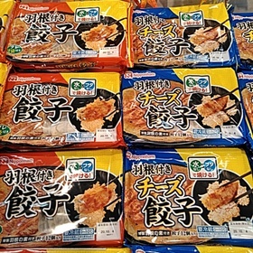 羽根つき餃子各種 138円(税抜)