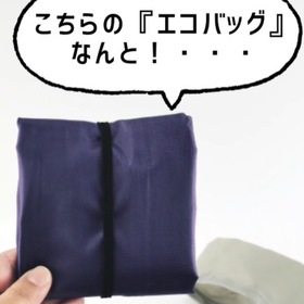 ★マチが広いエコバッグ★ 100円(税抜)