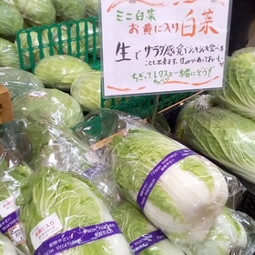 ミニ白菜 160円(税抜)