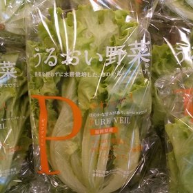 うるおい野菜 98円(税抜)
