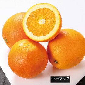 ネーブルオレンジ 321円(税込)