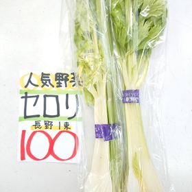 セロリ 100円(税込)