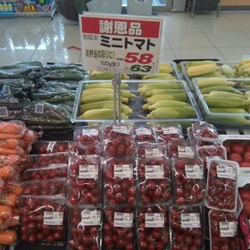 ミニトマト 63円(税込)