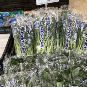 小松菜 105円(税込)
