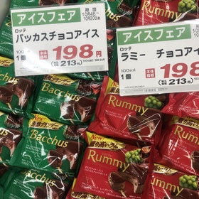 バッカス/ラミー　チョコアイス 213円(税込)