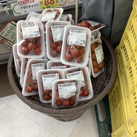 ミニトマト 105円(税込)