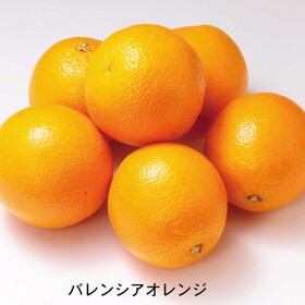 果実酒用オレンジ（バレンシア） 753円(税込)