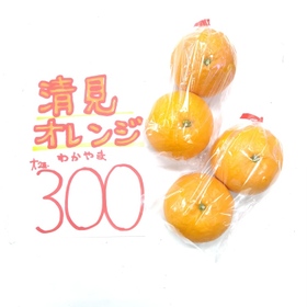 清見オレンジ 300円(税込)