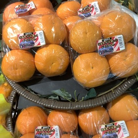 興居島柑橘匠の会の「いよかん」 価格なし