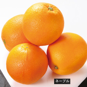 ネーブルオレンジ 430円(税込)