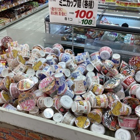 ミニカップ麺（各種） 108円(税込)