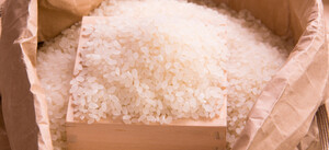 お米５kg 10%引