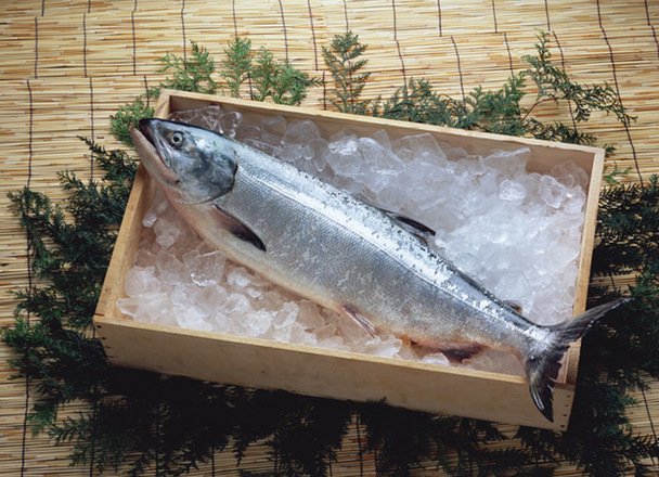 銀鮭（養殖・解凍） 214円(税込)