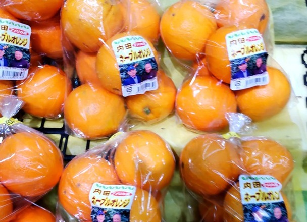 ネーブルオレンジ　６玉入り 538円(税込)