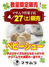 マサムラ洋菓子店　人気のべビーシュー販売　