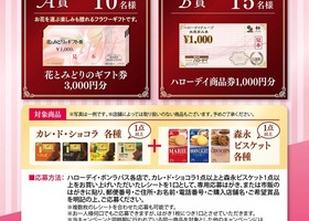 森永製菓共同企画　母の日フラワーギフトを当てようキャンペーン